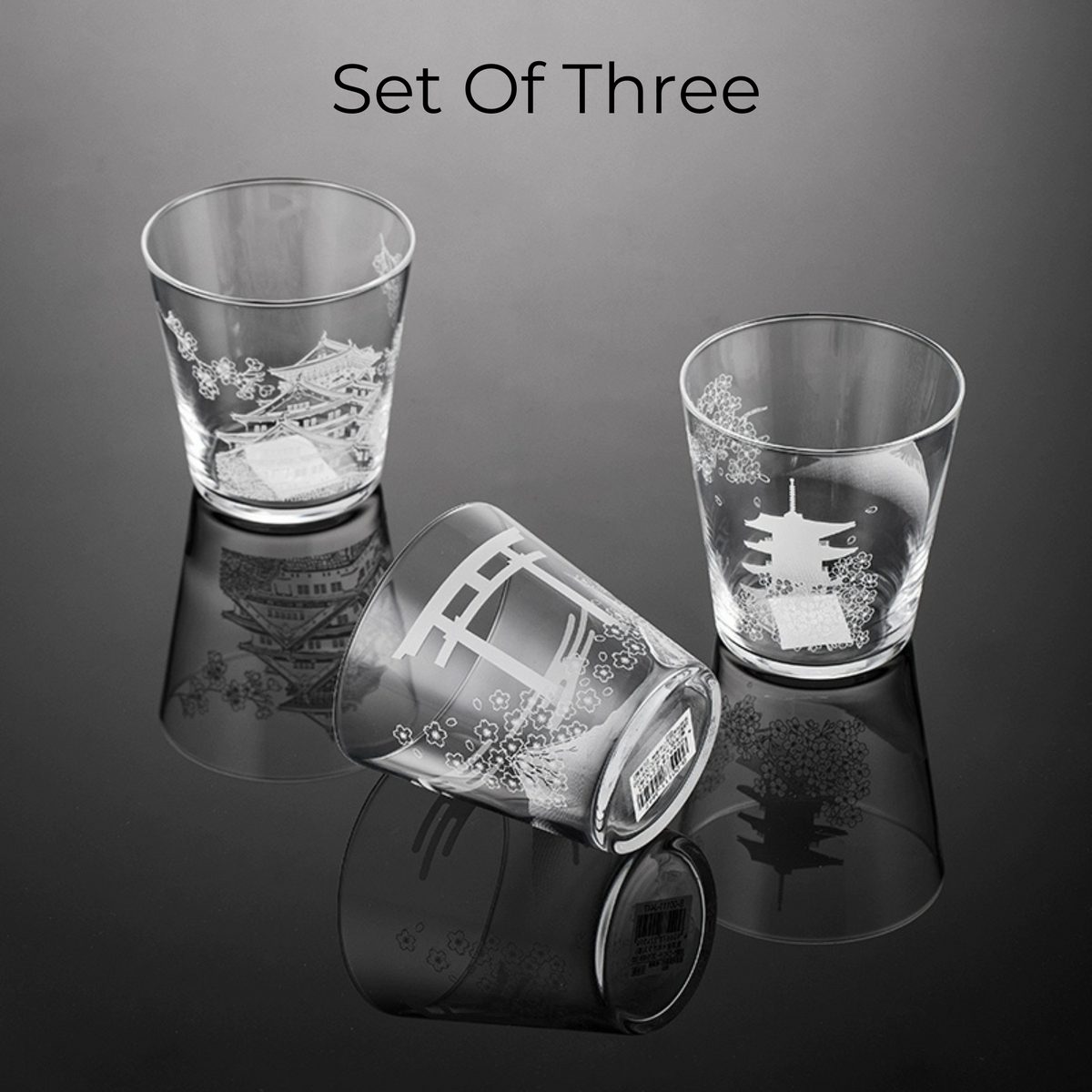 Whiskey Glass Japanese Scenic Etched Tumbler | Toyo-Sasaki