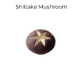 Shiitake Mushroom