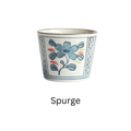 1x Spurge