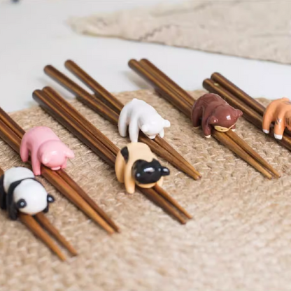 Kids Chopsticks Wooden Animal Series Japanese Panda Kitten with Rest