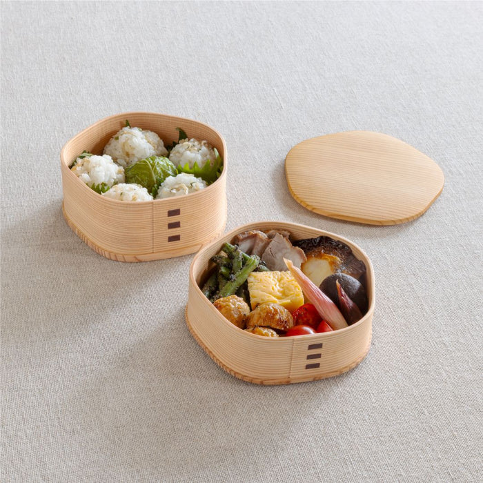 Bento Box Magewappa – Odate Akita Cedar Ume Blossom Handcrafted