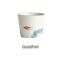 1x Goldfish