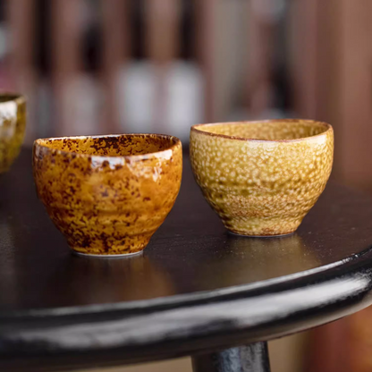 Japanese Tea Cup Set of 5 – Mino Ware Autumn Wabi-Sabi Glaze