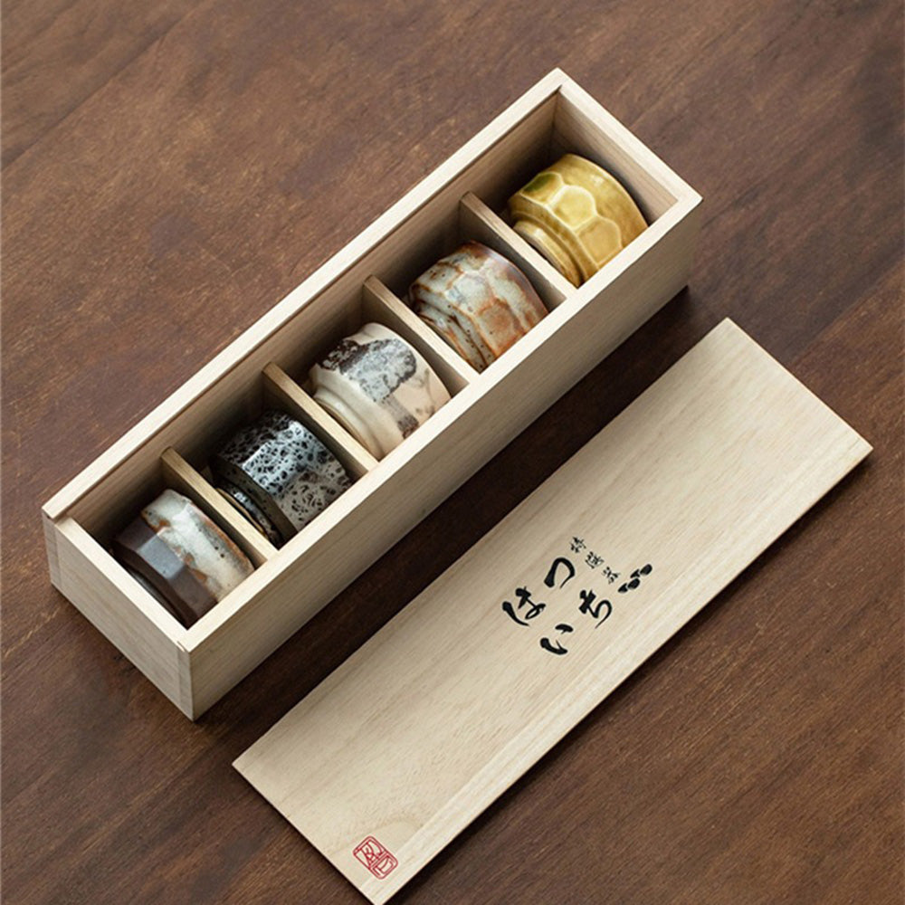 Tea Cup Set of 5 Japanese Mino-Yaki Wabi-Sabi Handmade 90ml