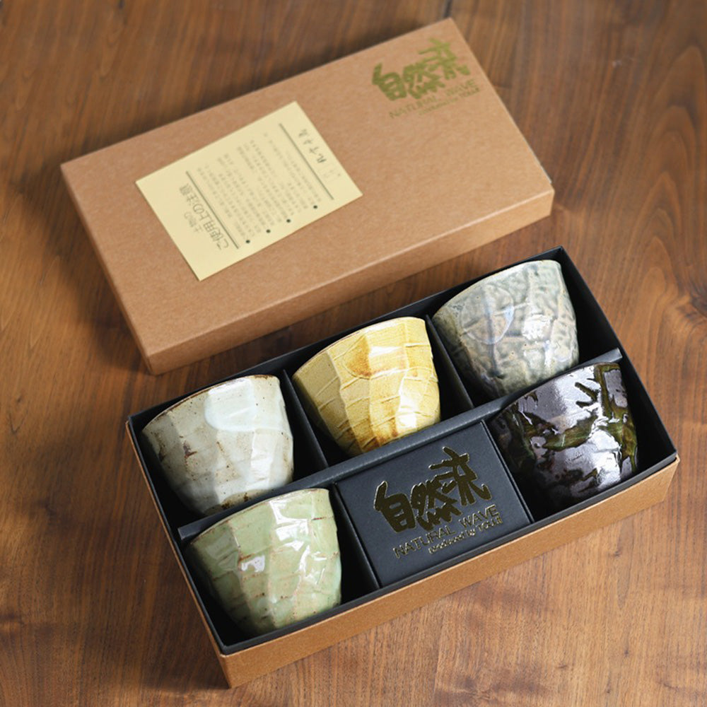 Tea Cup Set of 5 Japanese Seto-Yaki Wabi-Sabi Ceramic 250ml