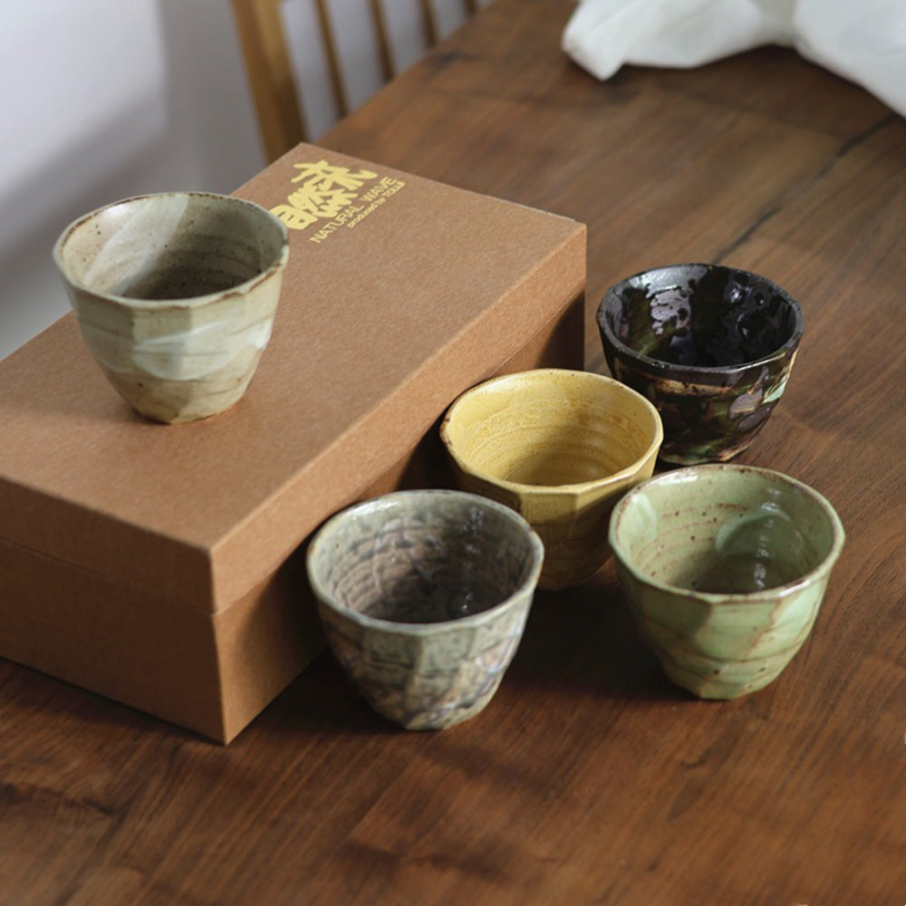 Tea Cup Set of 5 Japanese Seto-Yaki Wabi-Sabi Ceramic 250ml