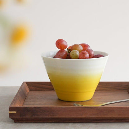 Ceramic Conical Bowl Arita Ware Japanese Handcrafted Gradient Ombre Serving and Decorative Bowl