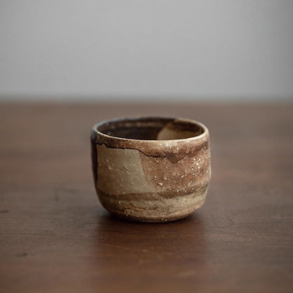 Ceramic Tea Cup Set of 5 – Mino Ware No-no-Shuukaku Harvest