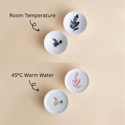 Color Changing Tea Cup Set | Mino Ware Sakura & Momiji