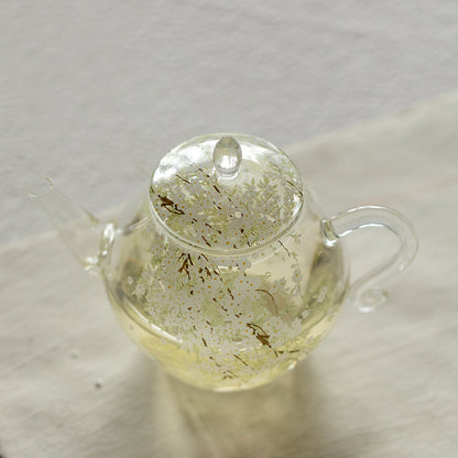 Glass Teapot Borosilicate Pear Blossom 175ml Clear