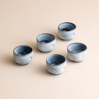 Tea Cup Set of 5 – Nunobiki Ware Komorebi Tenmoku Ceramic