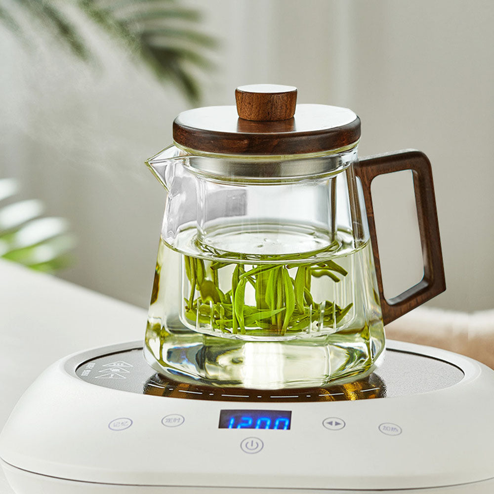 Glass Teapot Wood Handle Cat Claw Infuser Walnut Lid 500ml
