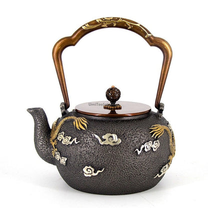 Cast Iron Teapot Double Dragon Relief 1300ml Handmade
