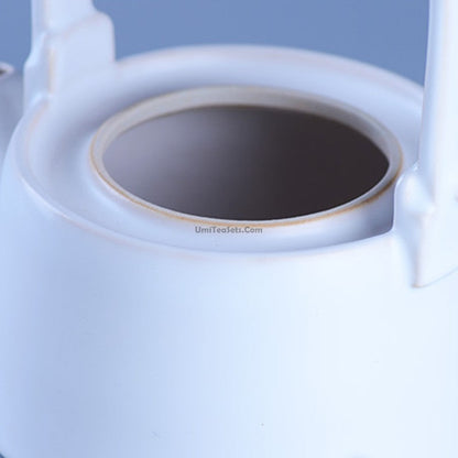 Japanese Teapot Coarse Pottery 800ml Induction Safe Clay Pot