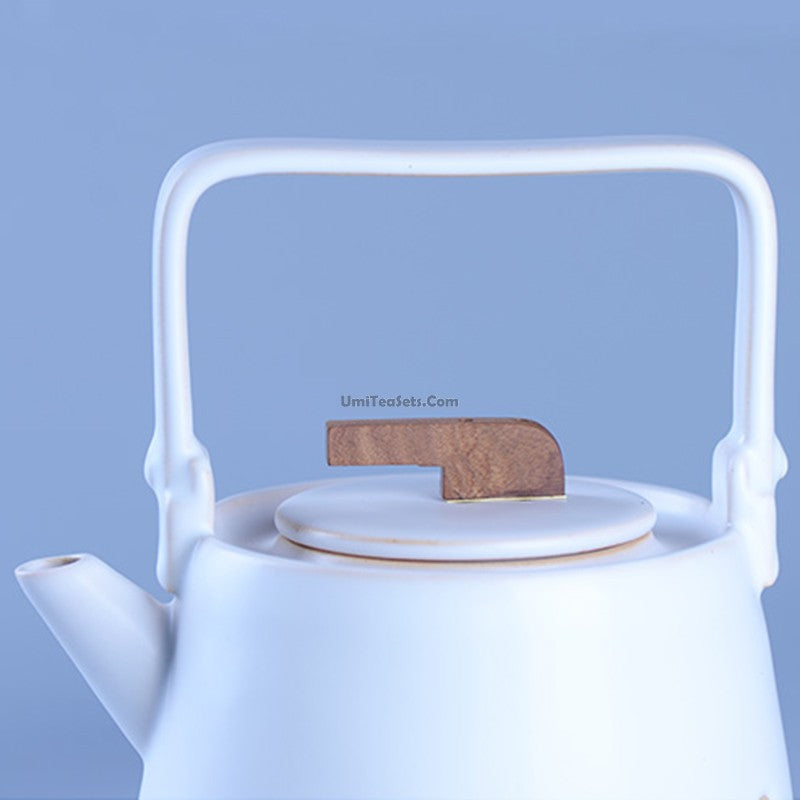Japanese Teapot Coarse Pottery 800ml Induction Safe Clay Pot