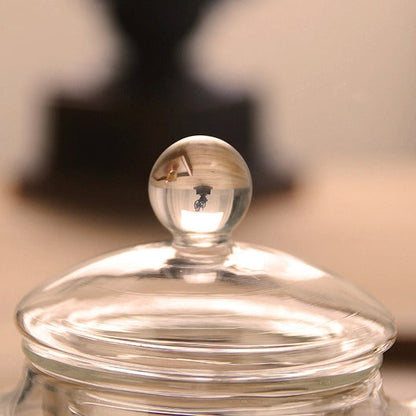 Borosilicate Glass Teapot with Infuser | 3 Sizes