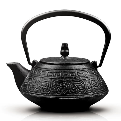 Cast Iron Teapot Tetsubin Gongfu 800ml Handcrafted Japanese