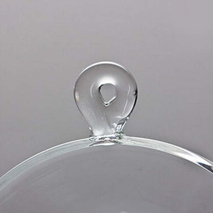 Glass Tea Strainer with Holder Loose Leaf Filter Gongfu Tea